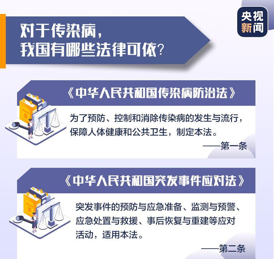 最新疫情法律，全球应对与未来展望