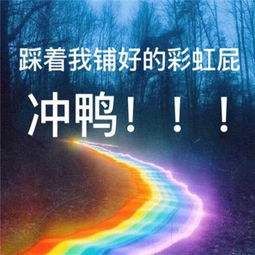 白夜最新毕业，探索人生新篇章的起点