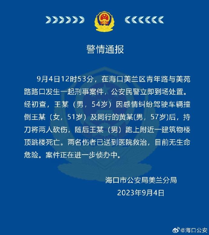 海口最新坠楼事件深度解析