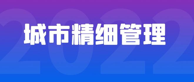 衢州最新行动，引领城市发展的步伐与策略