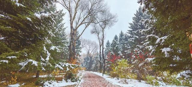 陕西最新雪景，雪落长安，美不胜收