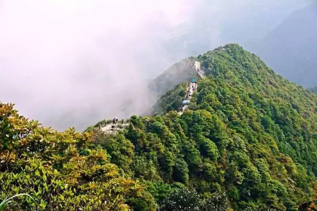 广东新增最新动态，繁荣与发展并进的景象