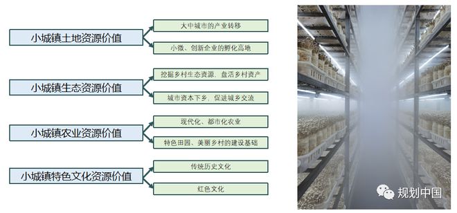 最新行政乡镇的发展趋势与挑战