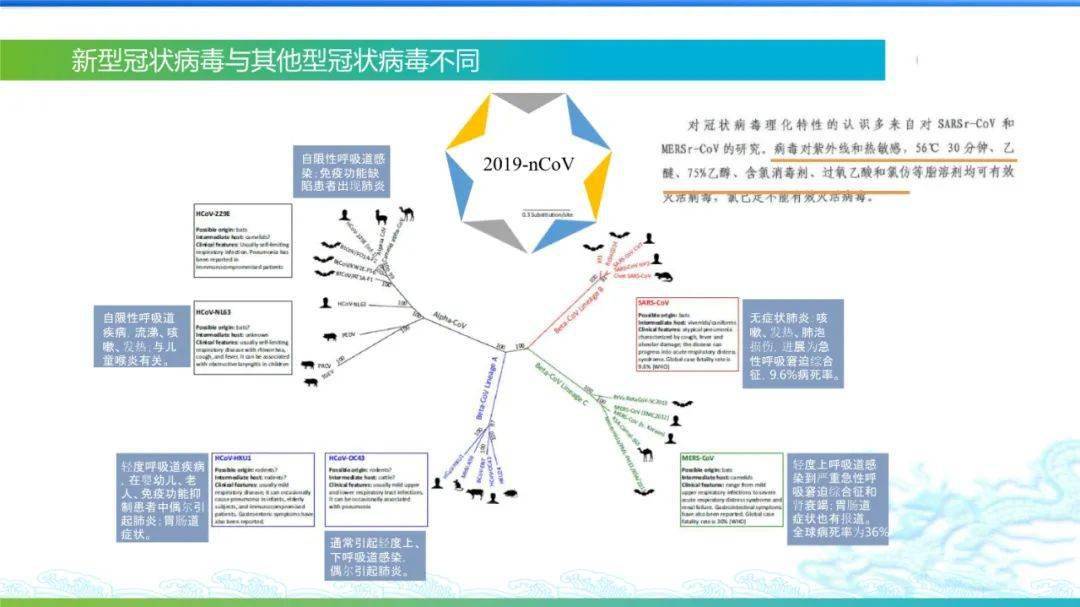 海南肺炎最新动态与防控措施分析